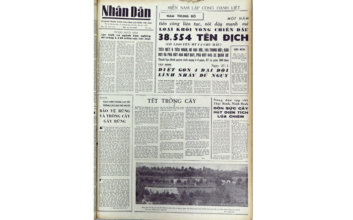 Tết trồng cây
