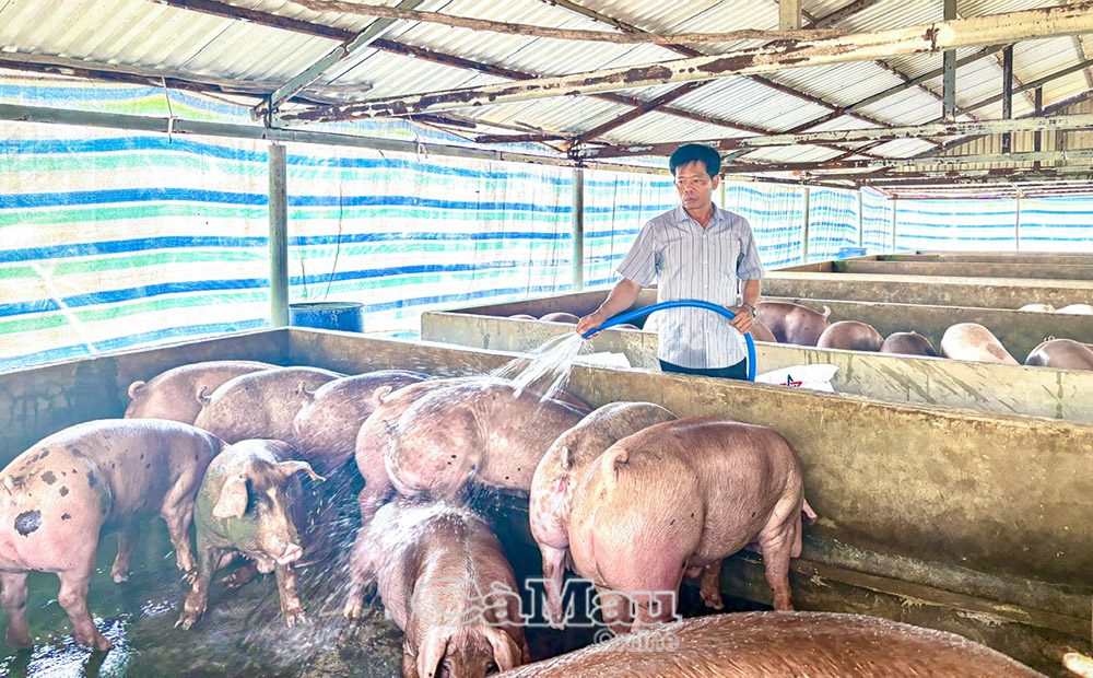 Thầy giáo - nông dân sản xuất giỏi