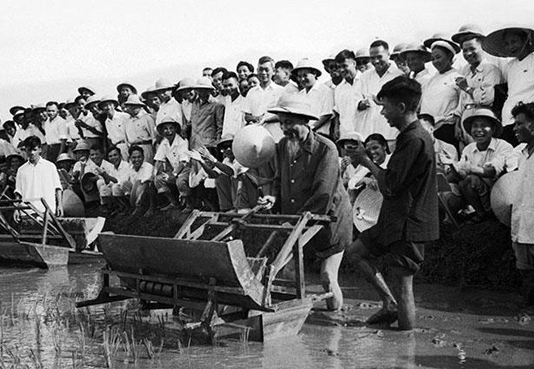 Vận dụng tư tưởng Hồ Chí Minh về phát triển nông nghiệp trong giai đoạn hiện nay