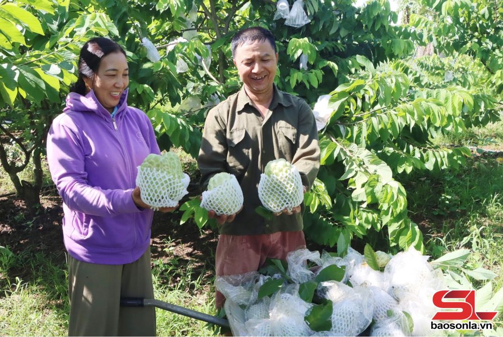 Chi bộ điển hình học và làm theo bác